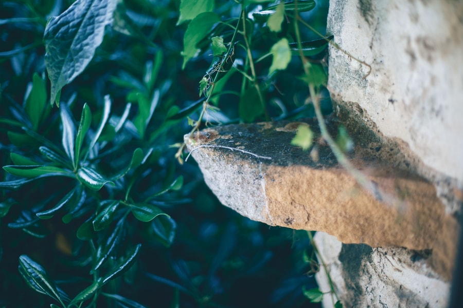 Image d'illustration 8